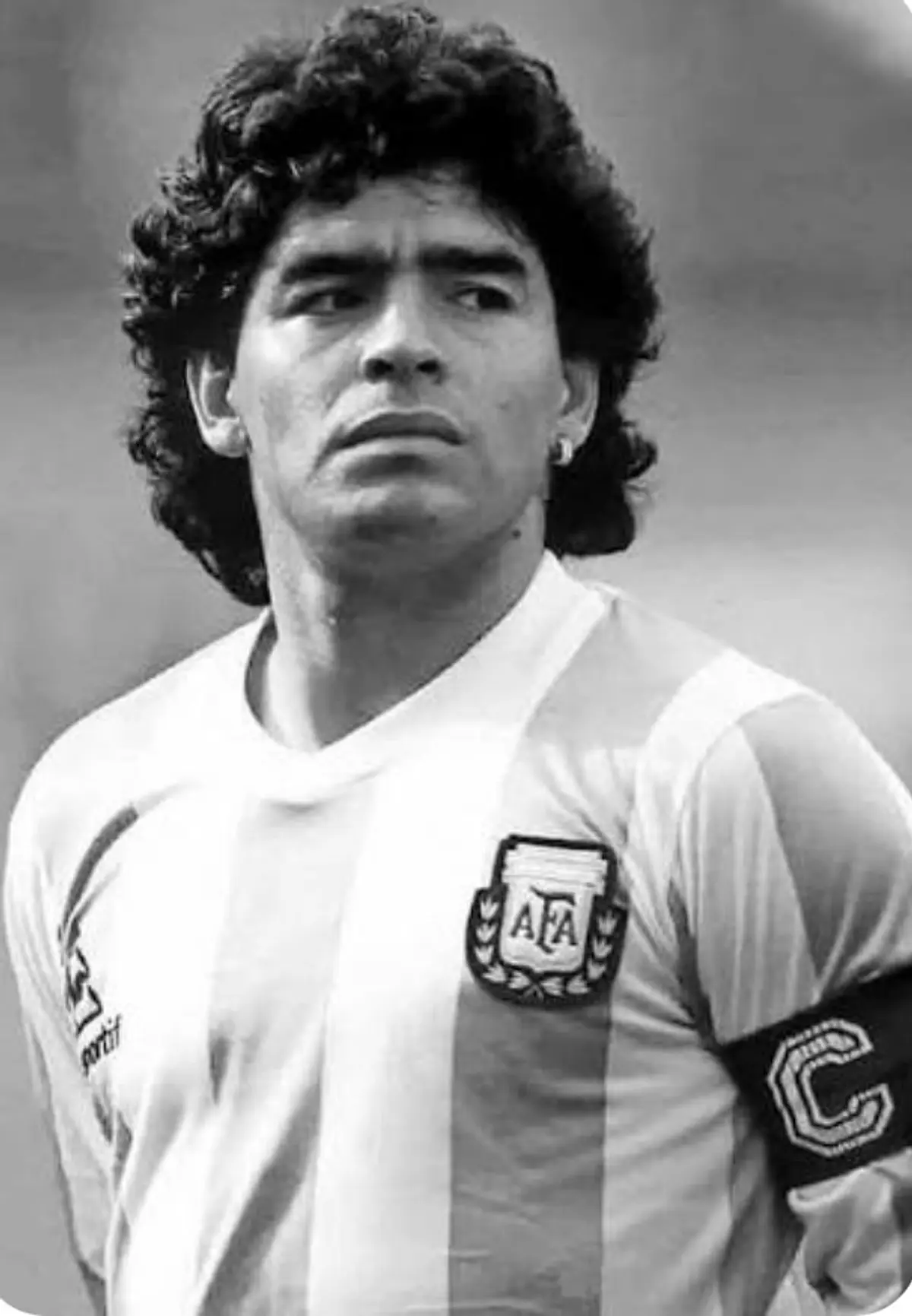 COLECCION DIEGO