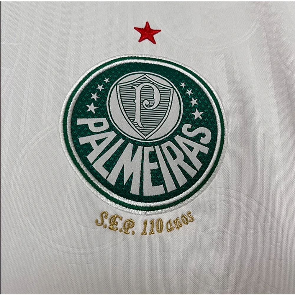 Palmeiras Alternativa 24/25