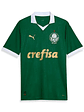 Palmeiras Home 24/25 - Thumbnail 1