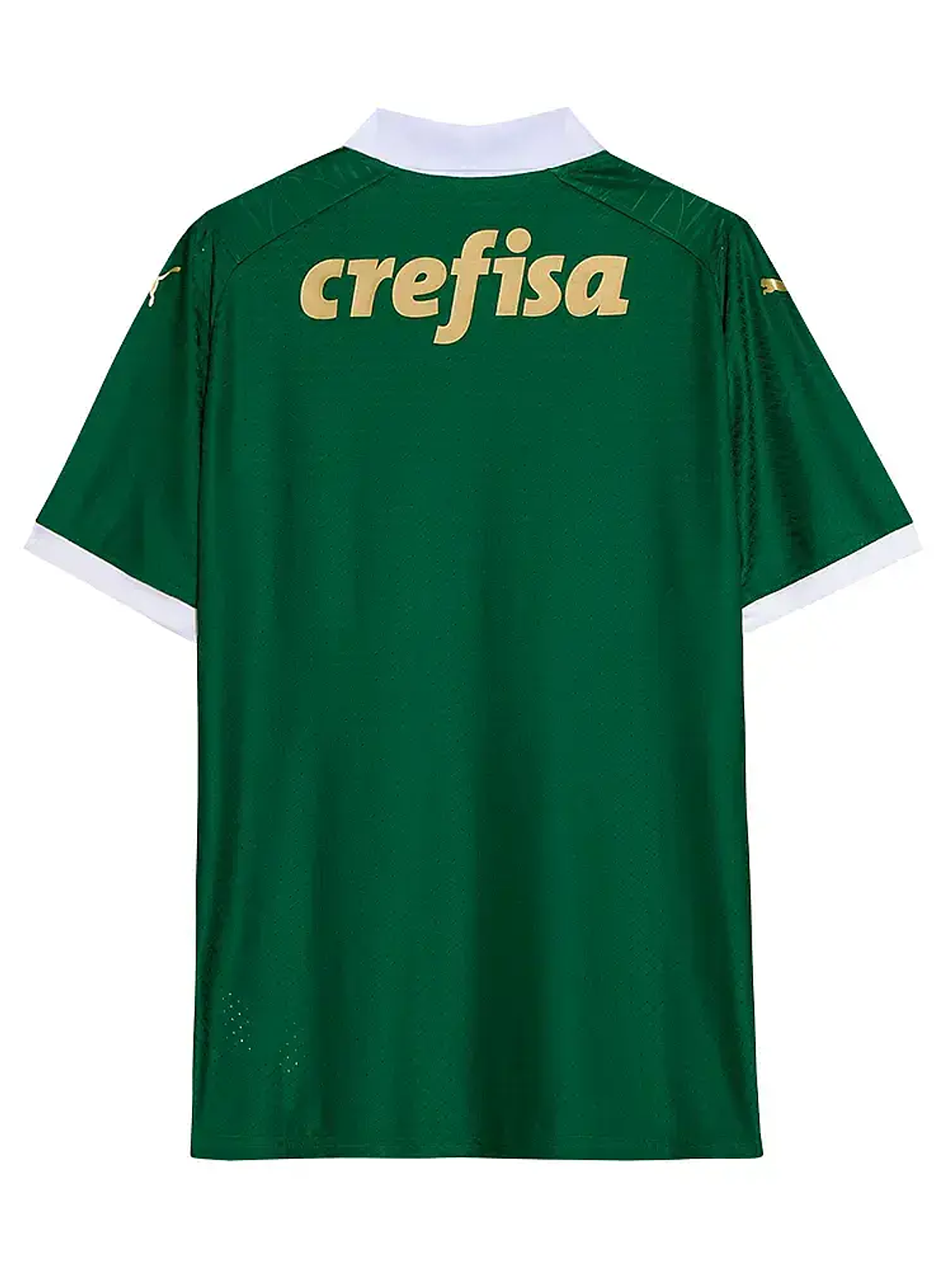 Palmeiras Home 24/25 2
