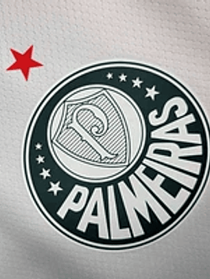 Palmeiras Alternativa 23/24