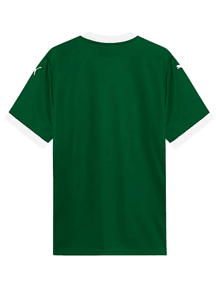 Palmeiras Home 25/26