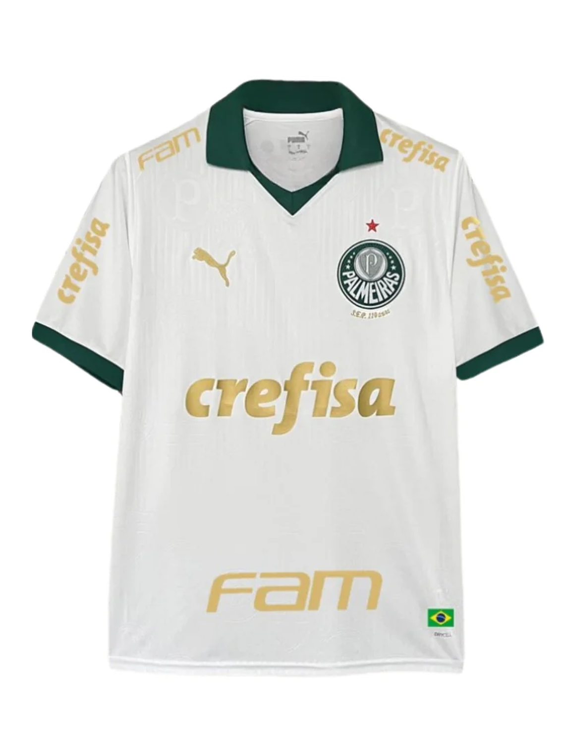 Palmeiras Alternativa 24/25 1