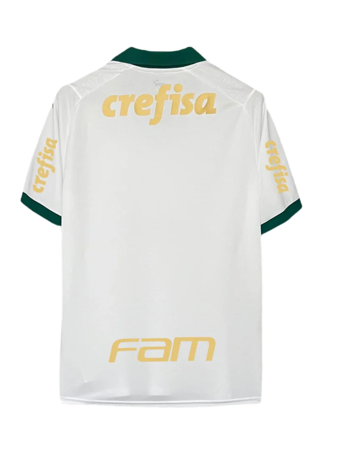 Palmeiras Alternativa 24/25 2