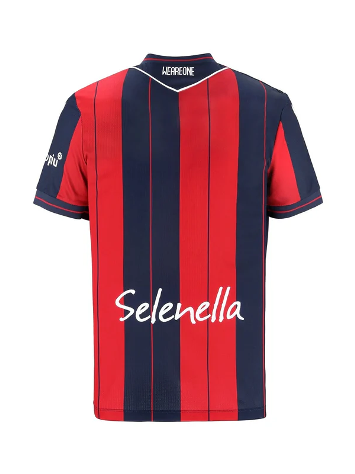 Bologna Principal 25/26 2