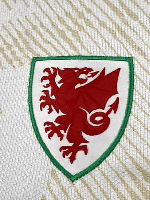 País de Gales Alternativa Mundial 26