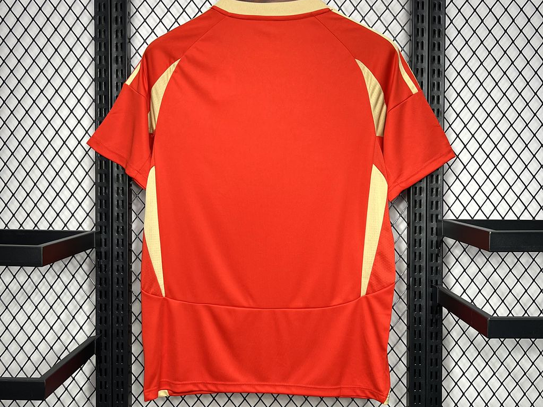 Liège Standard 2024/25 Season Shirt 2