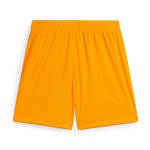 ﻿Calções Criança Equipamento Alternativo Porto 24/25