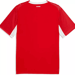 Camisola Principal Suiça 2026