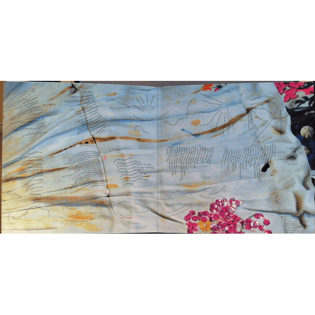 Juana Molina – Son (2006 - 2LP)