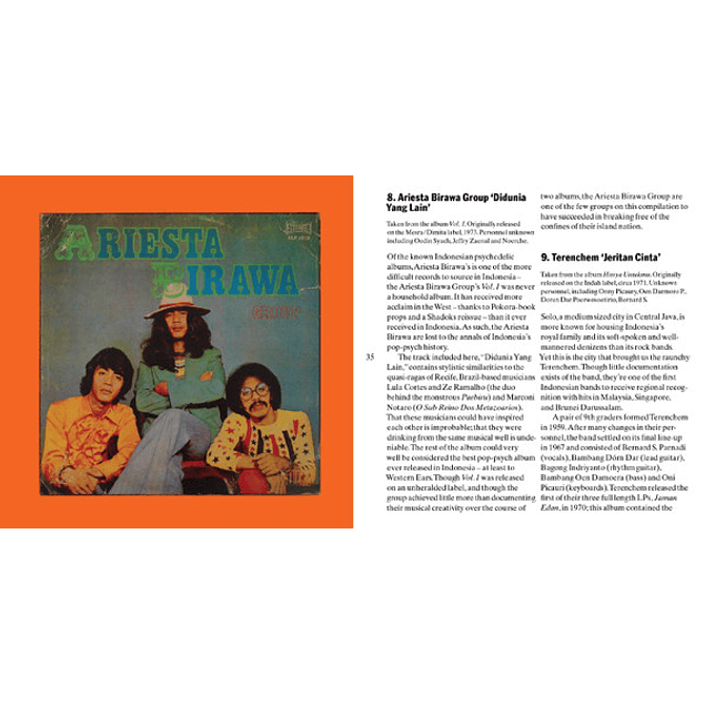 Those Shocking Shaking Days (Indonesian Hard, Psychedelic, Progressive Rock And Funk: 1970 - 1978) (2011 - 3LP)