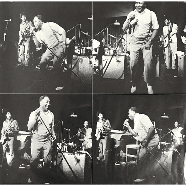 Muddy Waters – Muddy 