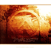 Aphex Twin – Selected Ambient Works Volume II (1994 - 3LP)