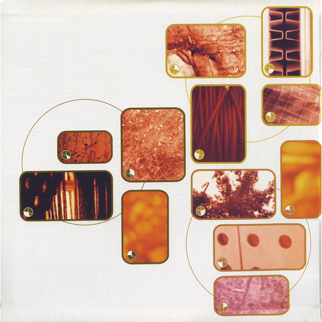 Aphex Twin – Selected Ambient Works Volume II (1994 - 3LP)