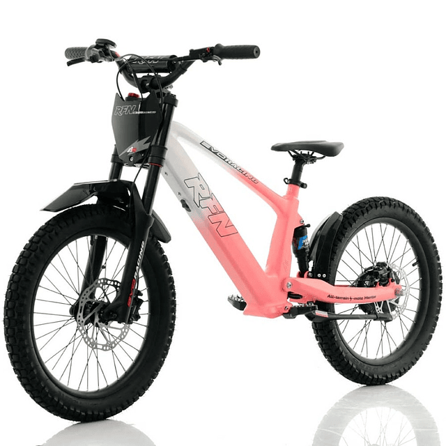 Bicicleta elétrica sem pedal RXF Evo Racing de 750 W e 20