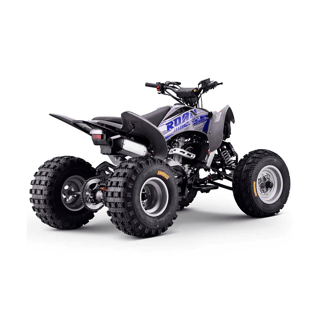 Quad Zongshen Dakar 300  2