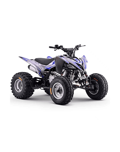 Quad Zongshen Dakar 300 