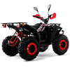 Quad RFZ Commander 200cc R10 4
