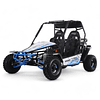 Buggy Triton 200 R8 2