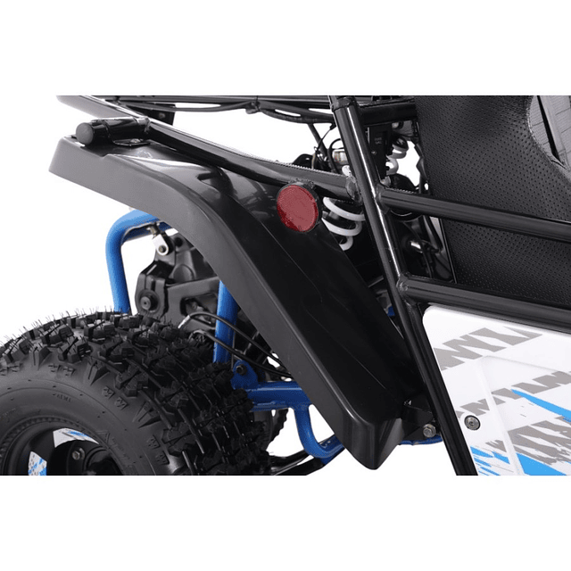 Buggy Triton 200 R8 6
