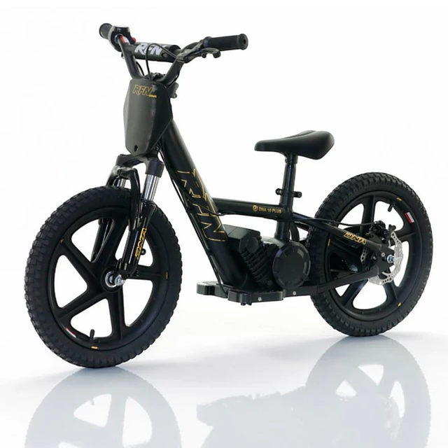 Bicicleta elétrica infantil 250W 16