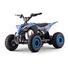 Miniquad eléctrico 1000W 36V Apollo RATTE  2