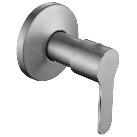 Llave para Ducha de Agua Fría de Acero Inoxidable Satinado Elegante