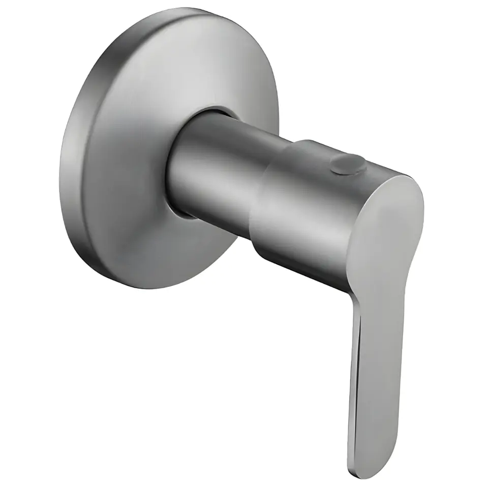 Llave para Ducha de Agua Fría de Acero Inoxidable Satinado Elegante 1