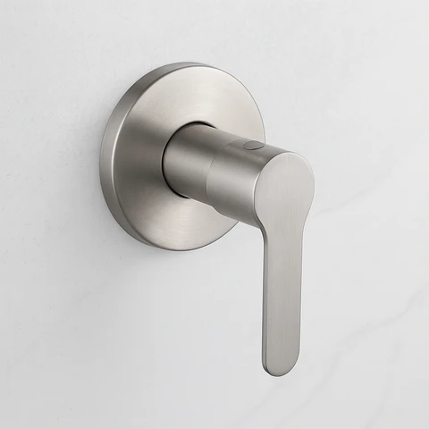 Llave para Ducha de Agua Fría de Acero Inoxidable Satinado Elegante
