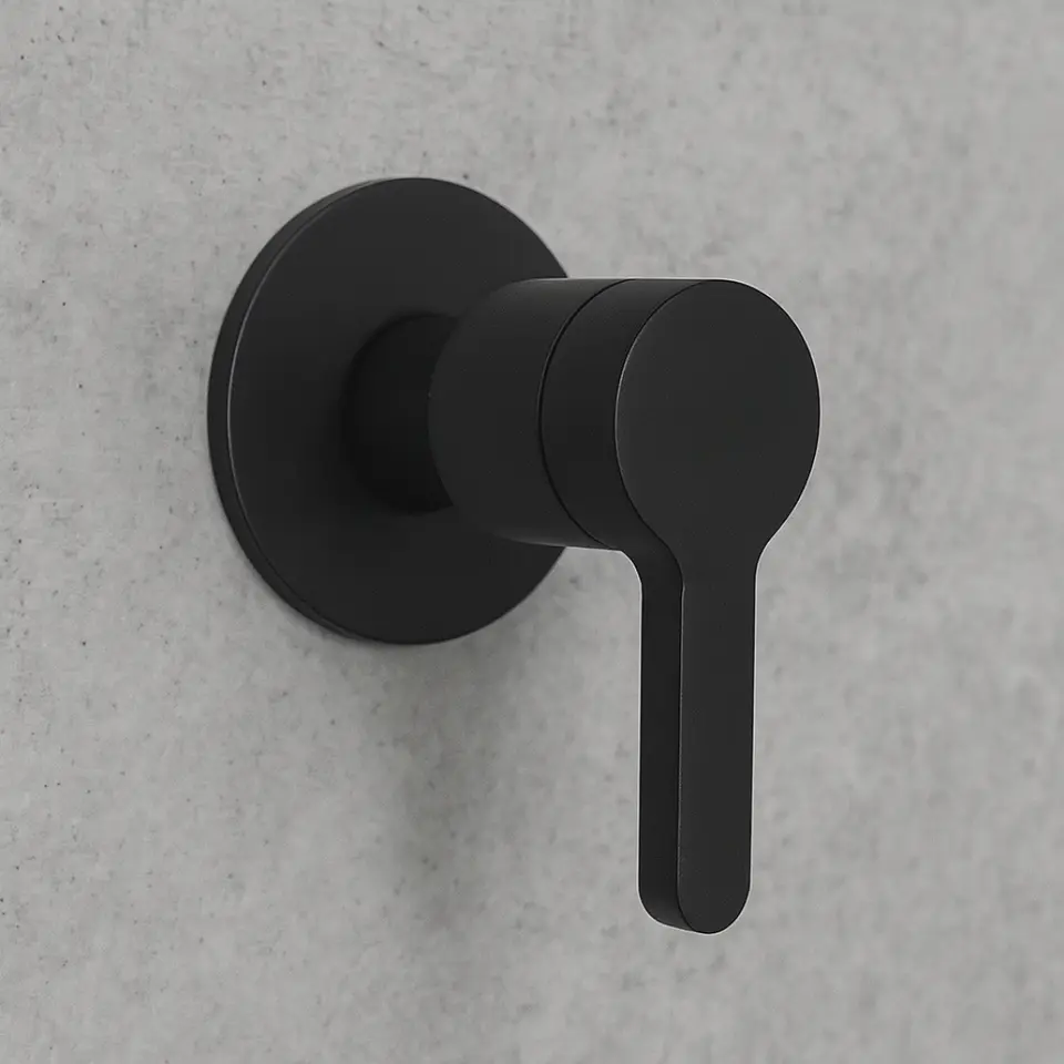 Llave para Ducha de Agua Fría de Bronce Negro Mate 2