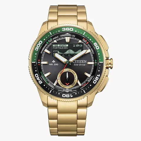 [Encargo] Citizen Promaster WaveTracker