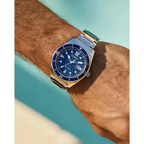 [Encargo] Citizen Terra Force 2