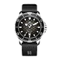 [Encargo] Reloj Sea-Gull 1216 Serie Océano 