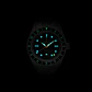 [Encargo] Lorier Hyperion  - Miniatura 4