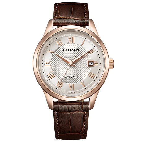 [Encargo] Citizen Collection NJ0250-01 2