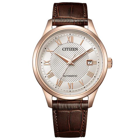[Encargo] Citizen Collection NJ0250-01