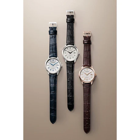 [Encargo] Citizen Collection NJ0250-01 6