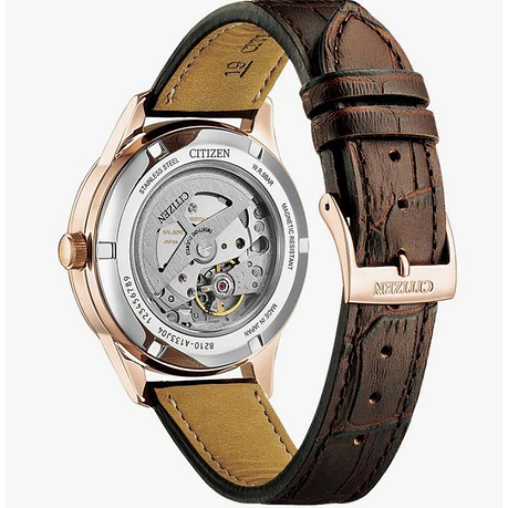 [Encargo] Citizen Collection NJ0250-01 8