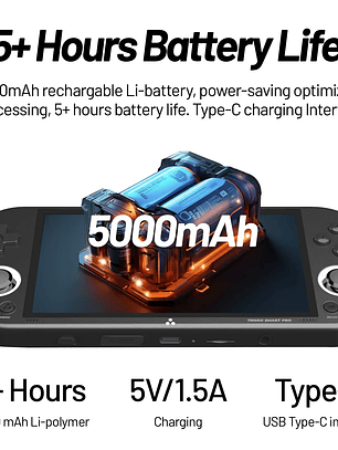 Trimui Smart Pro 128 GB