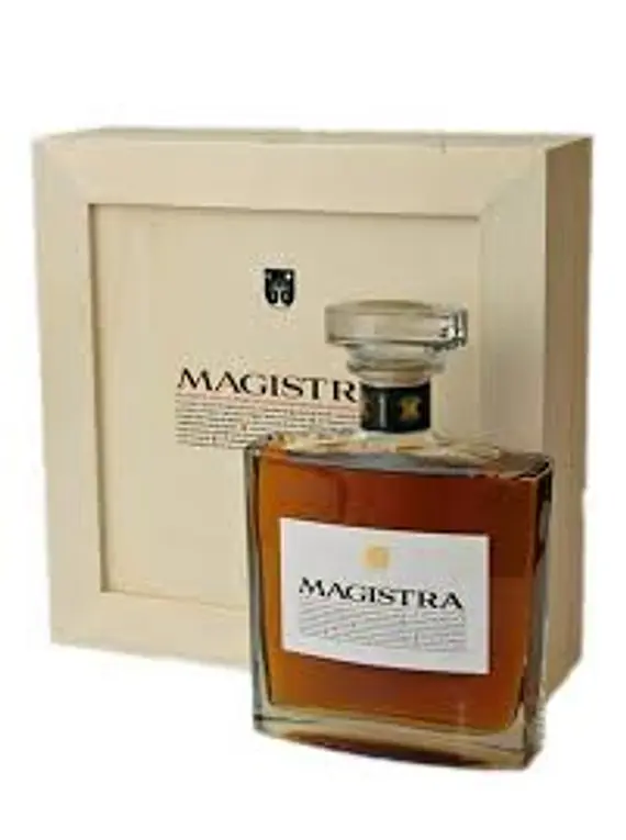 Magistra