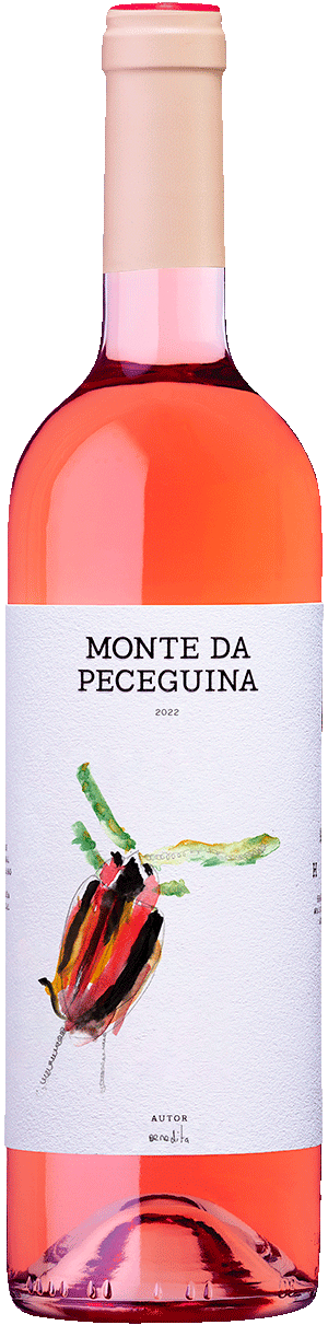 Peceguina Rosé