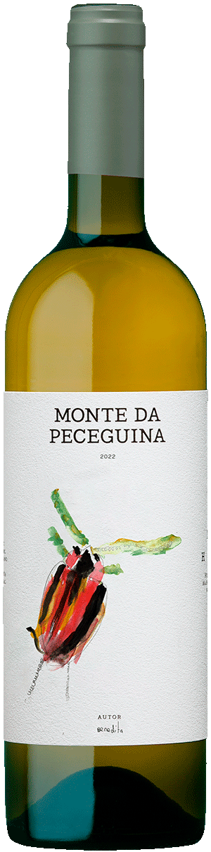 Peceguina Branco