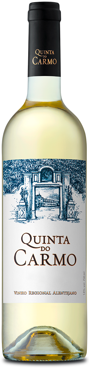 Quinta do Carmo Branco 2023