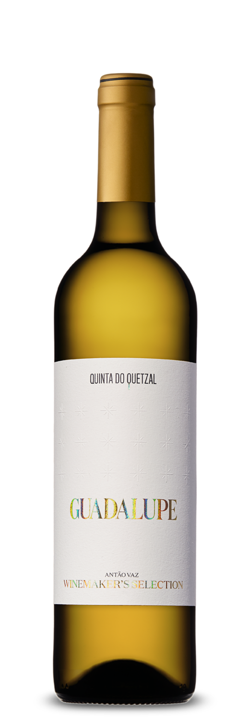 Guadalupe Branco Winemakers Selection