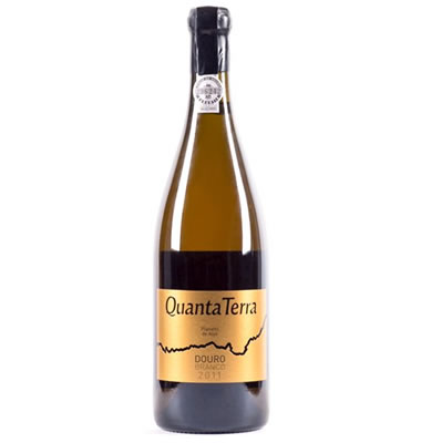 Quanta Terra Branco Golden edition