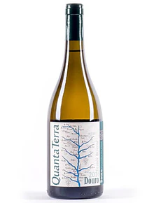 Quanta Terra Branco Grande Reserva