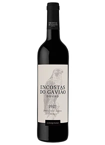 Encostas do Gavião Tinto
