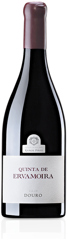 Quinta de Ervamoira Tinto