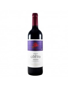 Quinta do Cotto Tinto Vinha do Dote