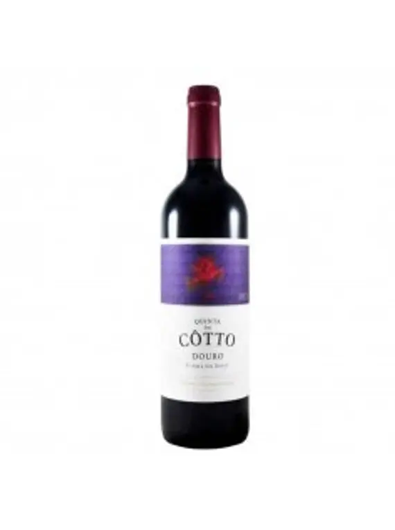 Quinta do Cotto Tinto Vinha do Dote